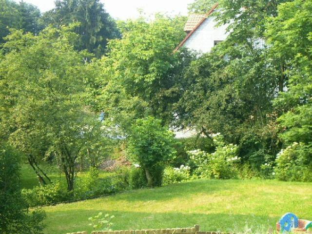 Waldpension Zum Felsenkeller Lichtenfels-Sachsenberg Ngoại thất bức ảnh